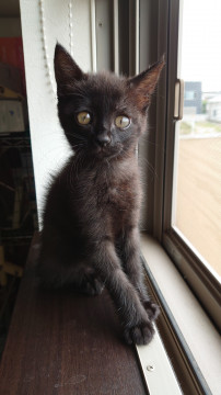とっても甘えん坊の雨ちゃん