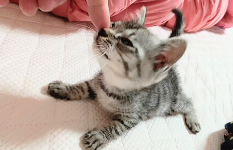 人が大好き♡甘えん坊の小さな女の子です