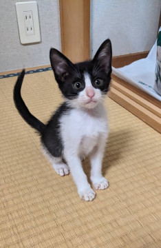 小さいけど元気いっぱい