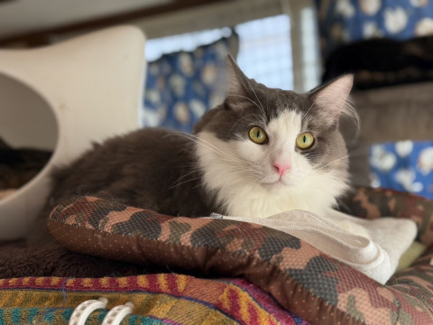 MIZO☆2歳くらい