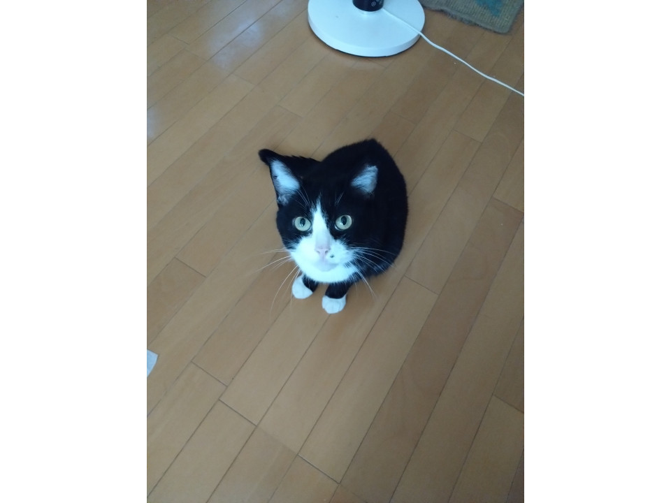 60才以上の方もご相談下さい