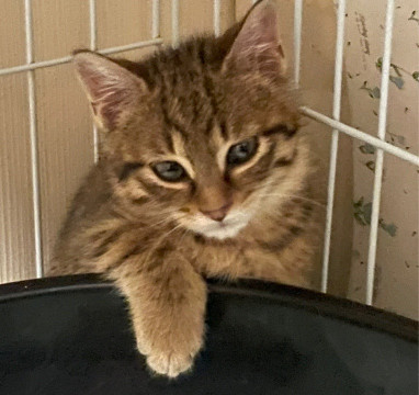 慎重派ですが甘えん坊