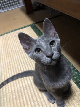 甘えん坊な男の子
