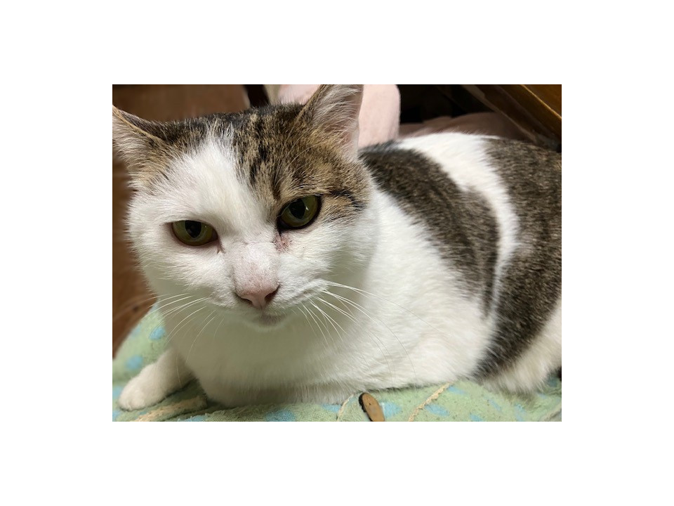 癒される子です