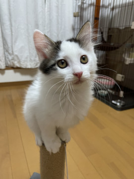 フワフワ可愛い男の子