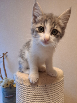 ふさ❣️房❔ふさ❗可愛いマスカット兄弟
