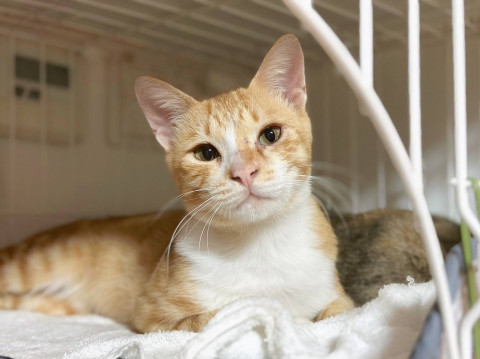 ちゃかもり☆3歳くらい