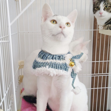 人懐っこいヤンチャ坊主♪