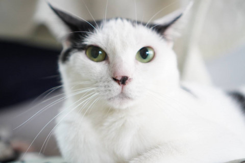 ベルビー☆3歳以上