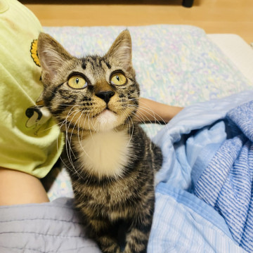 肩のりして甘えてくる男の子