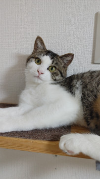性格良しのムチムチボーイ♡