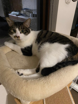 大っきいけど甘えん坊 お兄ちゃん