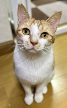 フグ田☆4〜5歳くらい