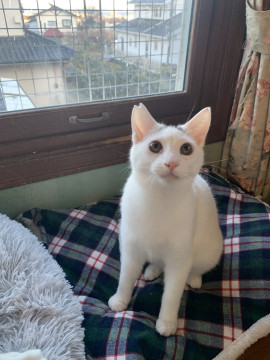 物静かで甘えん坊なはじめくん♡