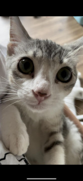 とにかくくっついていたい!ふうたくん
