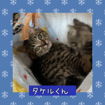 元気印の甘えん坊 タケルくん
