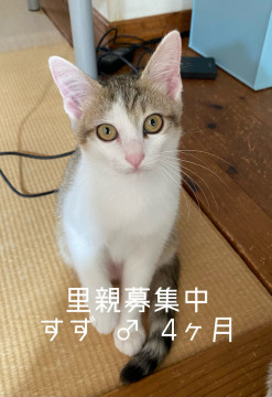 元気いっぱいの男の子です!
