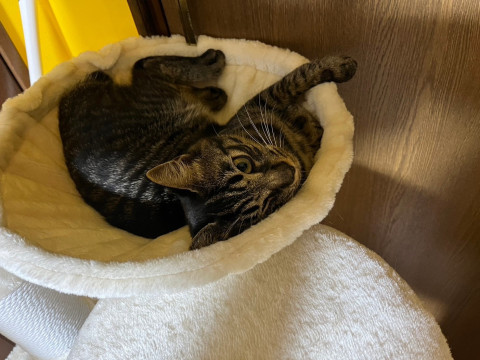 抱っこ大好き甘えん坊！