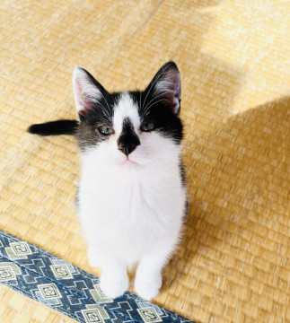 天真爛漫とっても人懐っこいナナちゃん♡