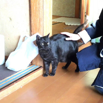 フレンドリーなお局クロちゃん