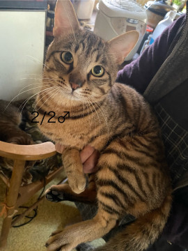 2才2ヶ月♂