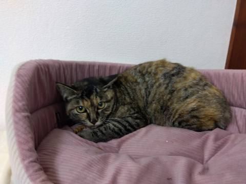 人気のサビ☆