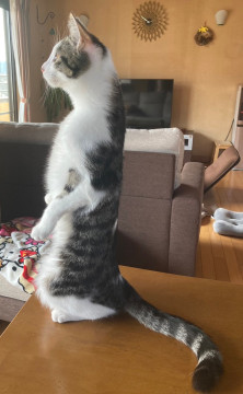 抱っこ大好き❤