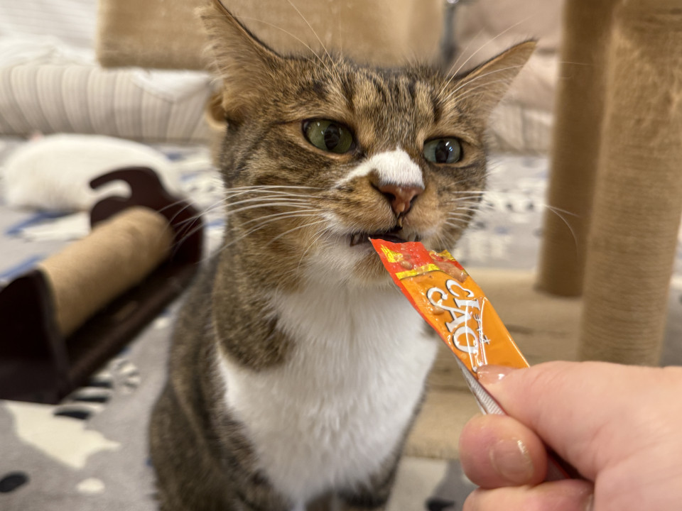 鼻がナイキ？ビビりで食欲旺盛な男の子！