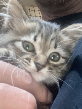 ちょいふわ?可愛こちゃん