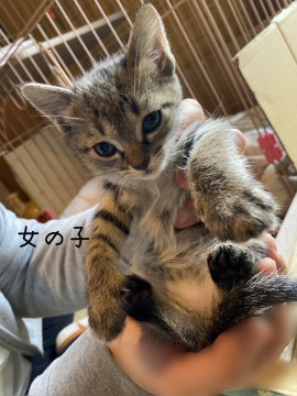 母乳しっかり飲んで元気な女の子