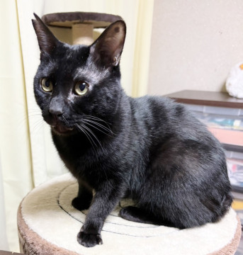 元気いっぱい❤ポポ