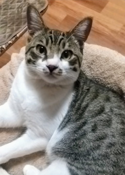 人慣れOK!天真爛漫な男の子