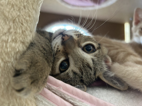 元気いっぱい仲良し兄弟