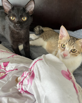 とってもカワイイ兄妹です❗️