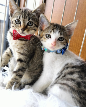 海のそばで産まれたかわいい兄妹