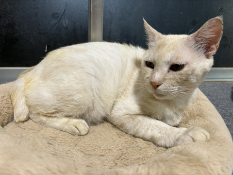 マイペースな食いしん坊