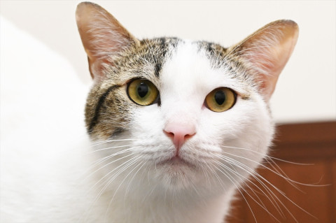 まりと君。無邪気な箱入りボーイ。