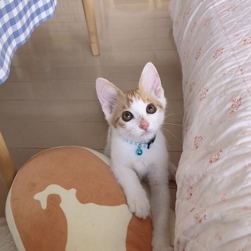 背中にハート❣️2つもあるよ❣️❣️