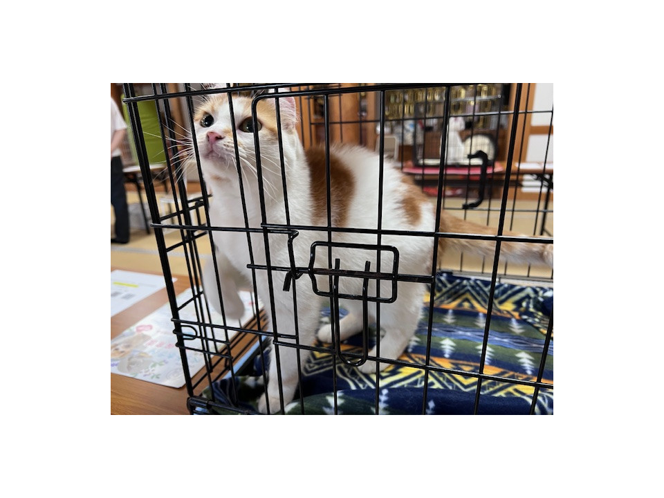 『みつば』甘えん坊さんな女の子