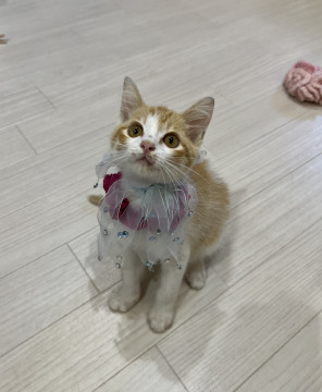 今1番可愛い時を家族と一緒に♪