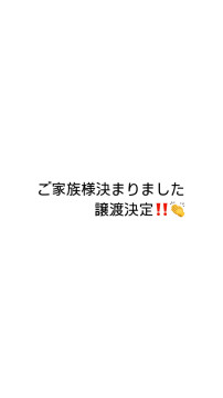珍しいクロネコ長毛女の子❣️