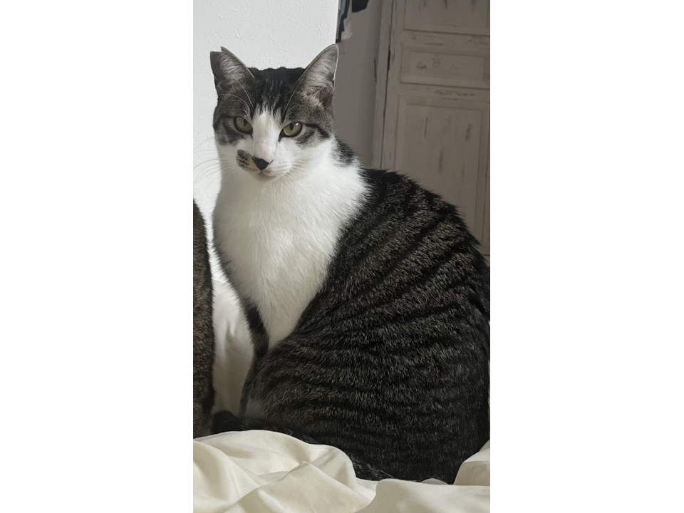 可愛いお目々の男の子