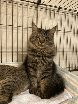 怖がりだけど甘えたい✩むーくん