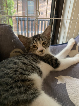 元気いっぱい女子✩みーちゃん