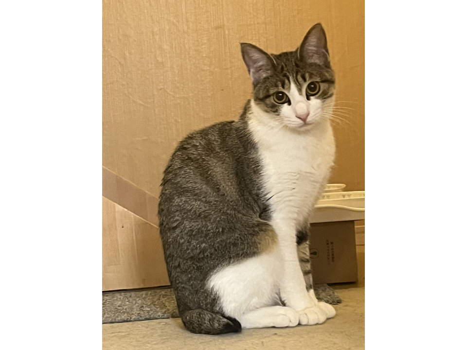 おてんば❤️なーな