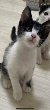 大人しいひかえめちゃん♪