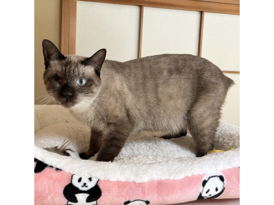 ひょうどう☆8歳くらい