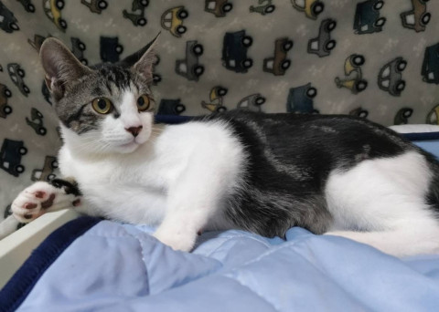 ビビりの男の子るるくん