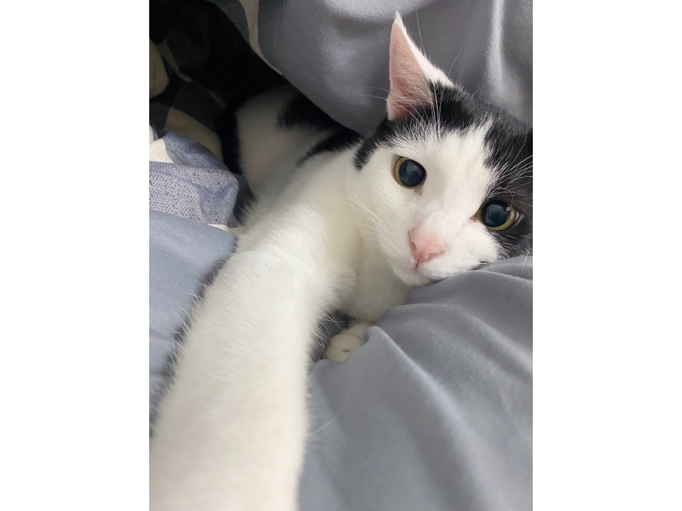 おっとり♡優しい男の子ですタキくん♡