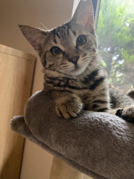 可愛すぎる美少女♡さーちゃん